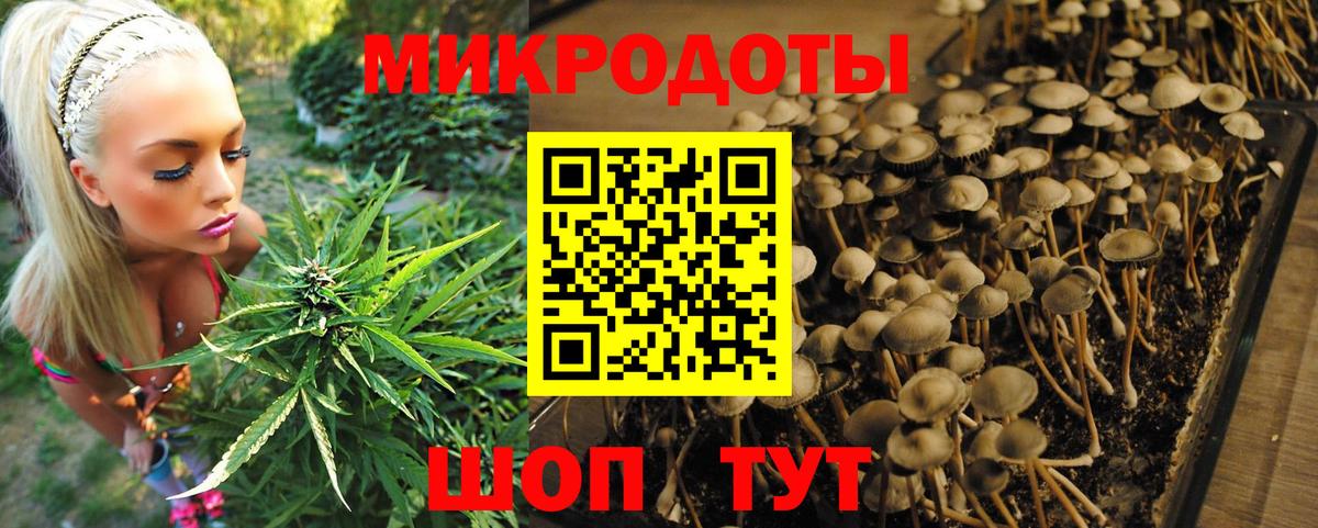 Псилоцибиновые грибы Magic Shrooms  Вход с VPN  Бутурлиновка 