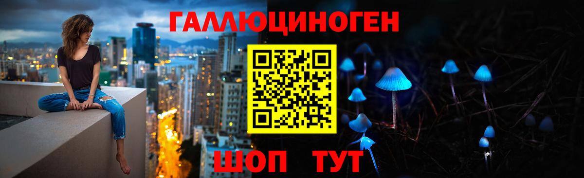 Псилоцибиновые грибы Psilocybe Бутурлиновка